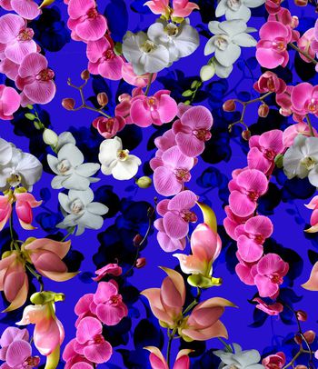 479902-欧美流行时尚花藤蝴蝶兰花卉印花 -