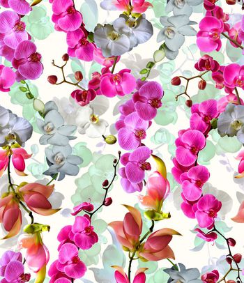 479903-欧美流行时尚花藤蝴蝶兰花卉印花 -