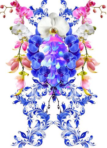 479904-欧美流行时尚手绘青花花藤蝴蝶兰花卉