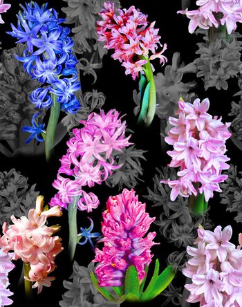 479914-欧美流行时尚风信子印花 -风信子系