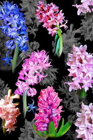 风信子印花华亿平台图片