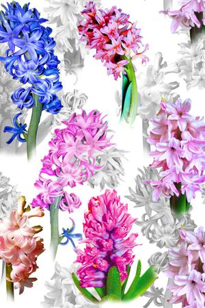 流行时尚印花华亿平台图片