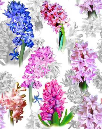 479915-欧美流行时尚风信子印花 -风信子系