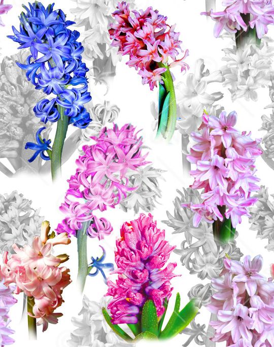 流行时尚印花华亿平台图片