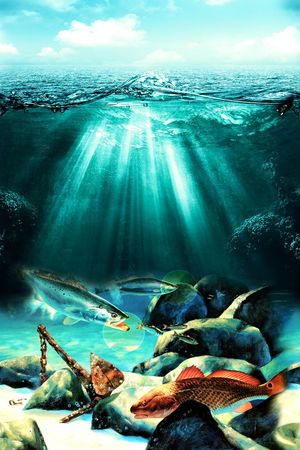 时尚印花华亿平台图片