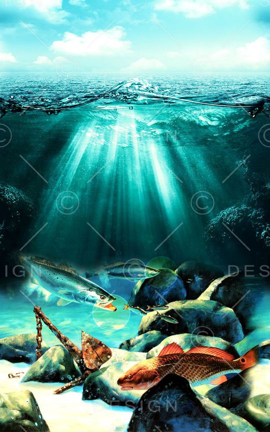 时尚印花华亿平台图片