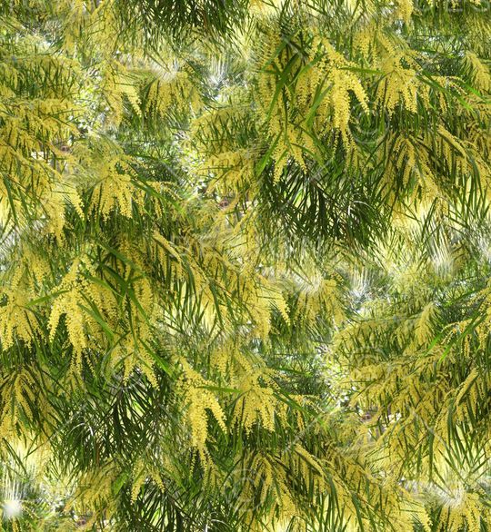 潮流印花华亿平台图片