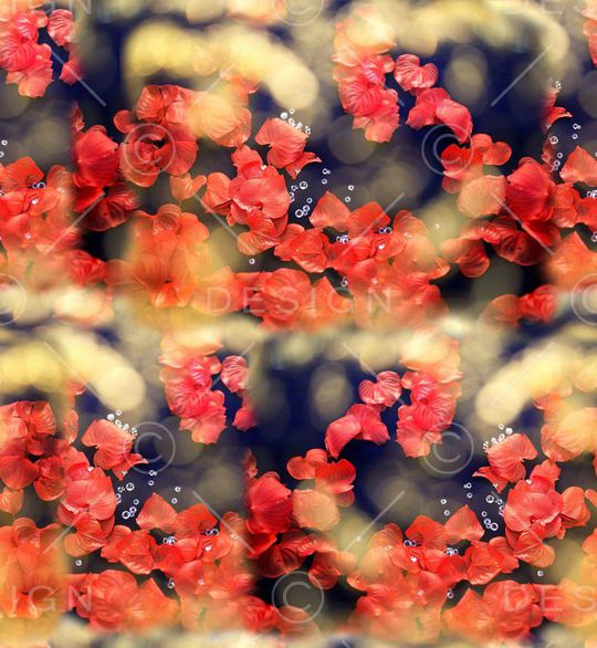 t恤华亿平台印花华亿平台图片