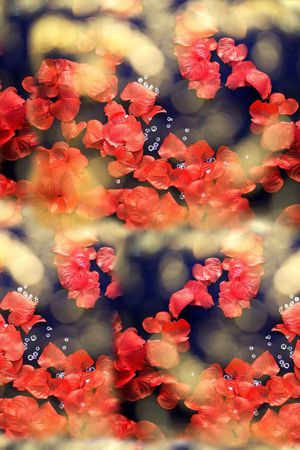 t恤华亿平台印花华亿平台图片