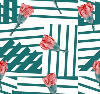 480017-几何花卉康乃馨