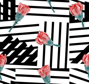 480018-几何花卉康乃馨