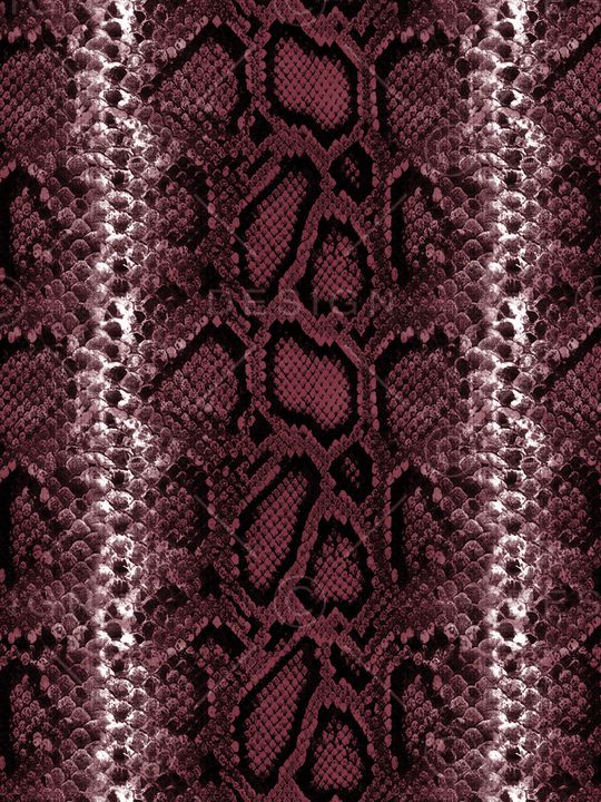 动物皮印花华亿平台图片