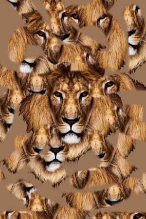 时尚印花华亿平台图片