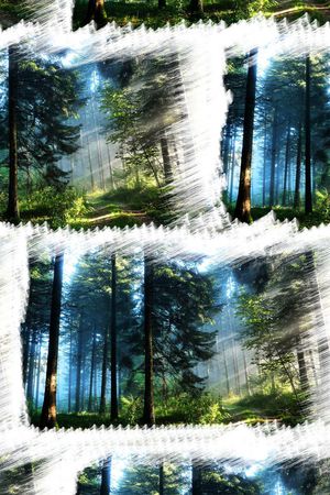 时尚  清新印花华亿平台图片