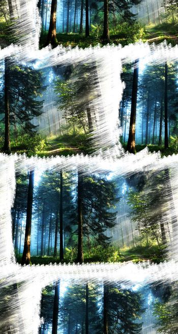 480146-时尚框画式照片风景华亿平台