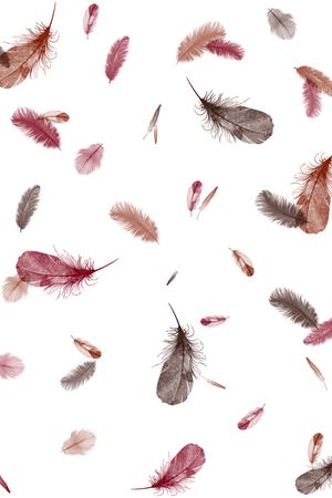 简洁印花华亿平台图片