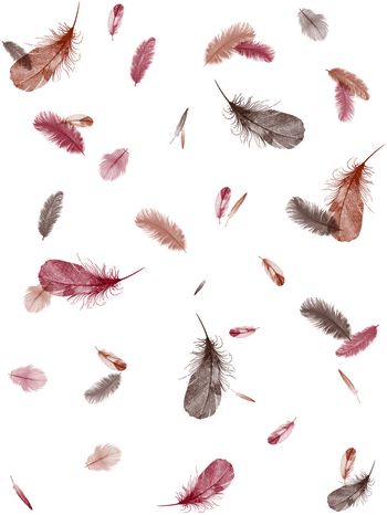 简洁印花华亿平台图片