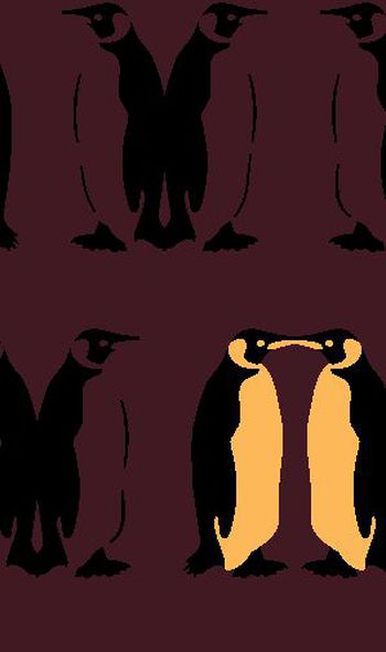 480188-男装秋冬外套棉衣时尚酷玩小企鹅华亿平台