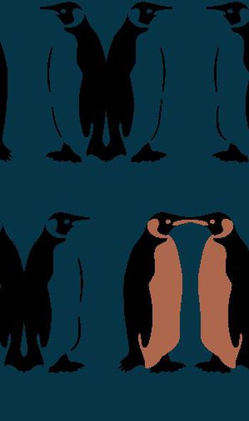 480190-男装秋冬外套棉衣时尚酷玩小企鹅华亿平台