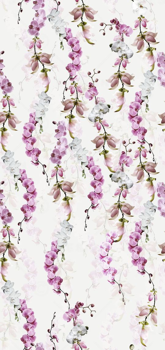 花藤蝴蝶兰印花华亿平台图片