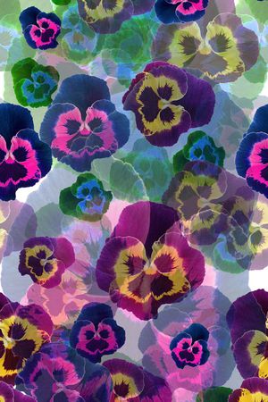 休闲印花华亿平台图片