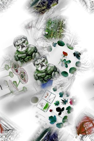 复古印花华亿平台图片