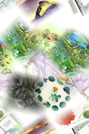 时尚印花华亿平台图片