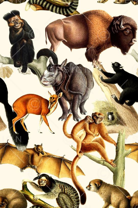 时尚印花华亿平台图片