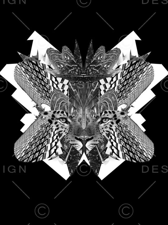 Just Cavalli印花华亿平台图片