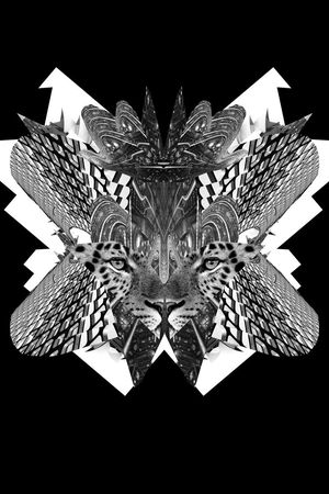 Just Cavalli印花华亿平台图片