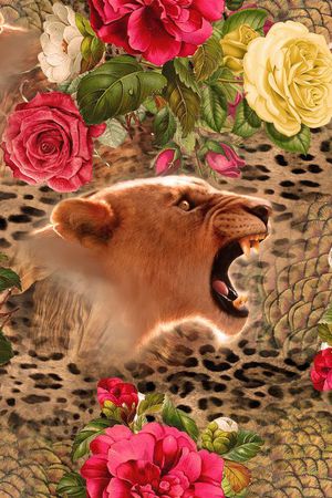 豹纹 动物 豹子头印花华亿平台图片