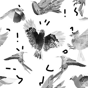 480598-趣味鸟涂鸦