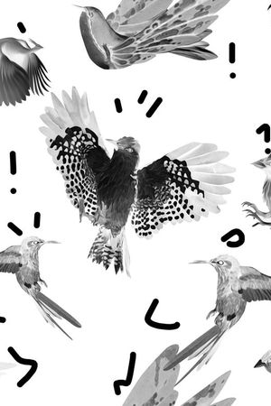 趣味印花华亿平台图片