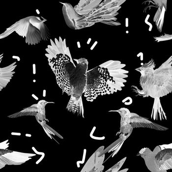 480599-趣味鸟涂鸦夜里的鸟生活