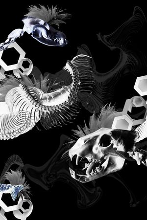 2016印花华亿平台图片