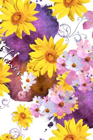 补丁印花华亿平台图片