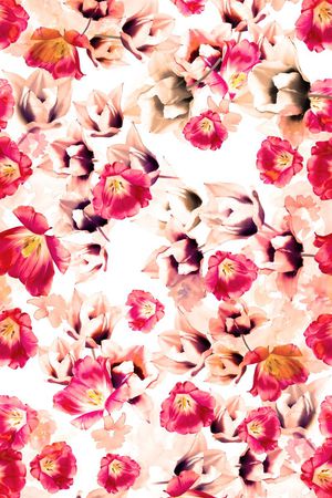 古典印花华亿平台图片