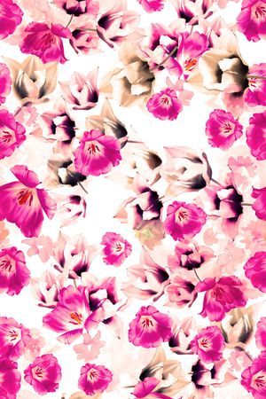 古典印花华亿平台图片