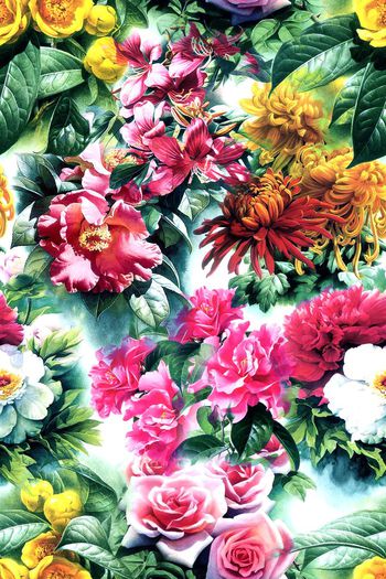 480756- 花卉 组合 数码 服装 面料