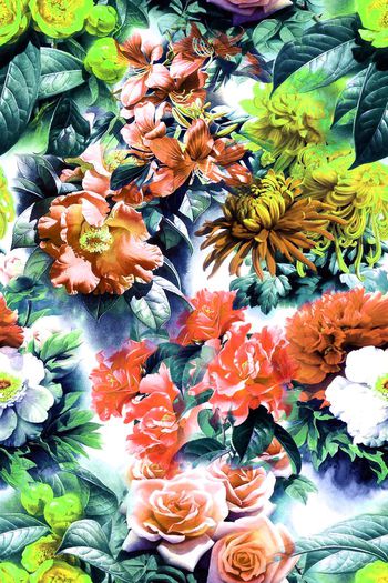 480758- 花卉 组合 数码 服装 面料