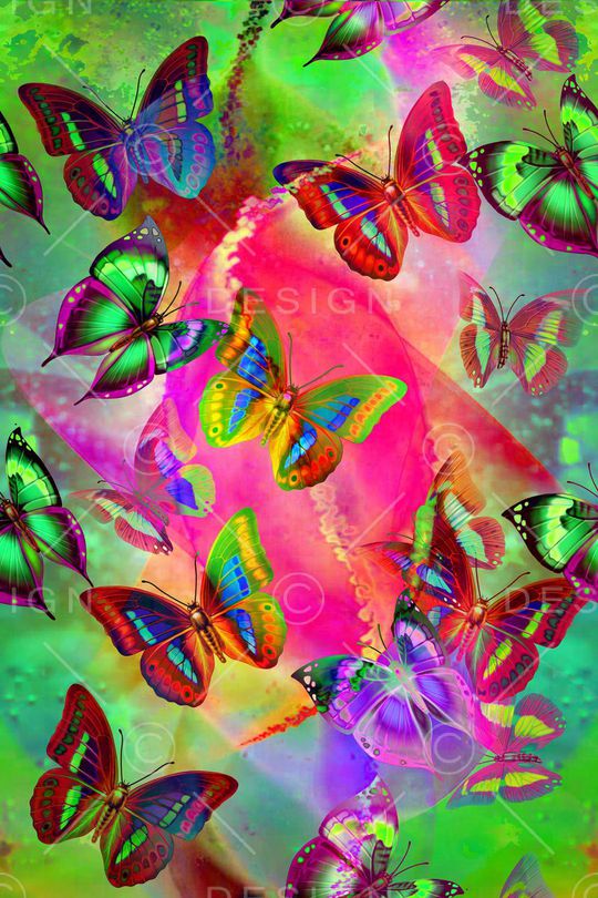 蝴蝶印花华亿平台图片