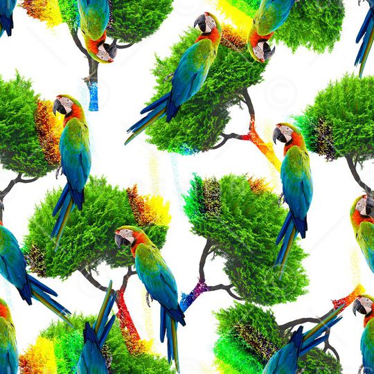 鹦鹉印花华亿平台图片