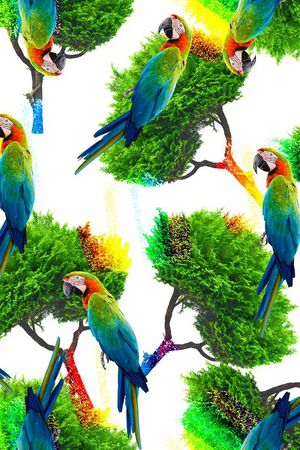 鹦鹉印花华亿平台图片