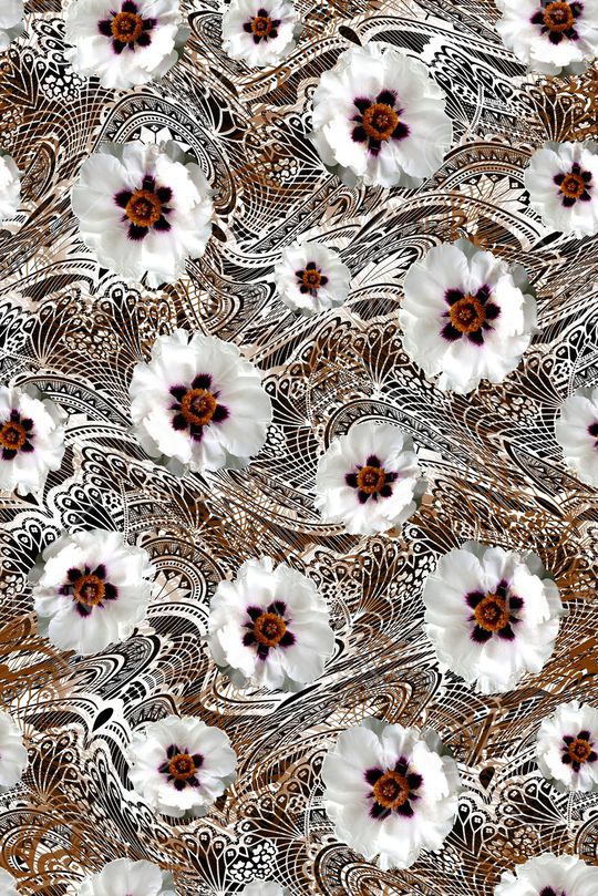 蕾丝印花华亿平台图片