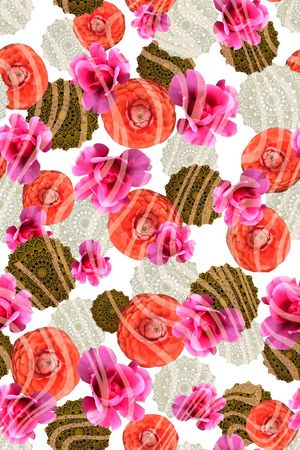 蕾丝印花华亿平台图片