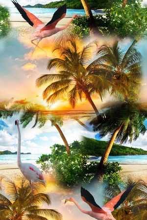 时尚印花华亿平台图片