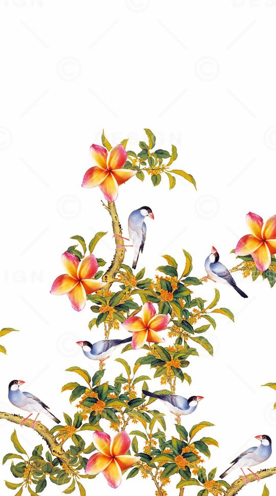 潮流时尚印花华亿平台图片