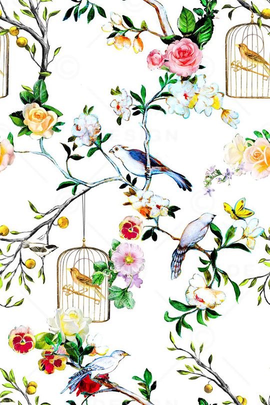 鸟笼印花华亿平台图片