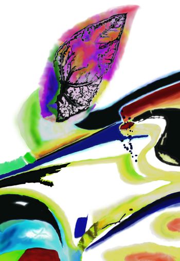 休闲印花华亿平台图片