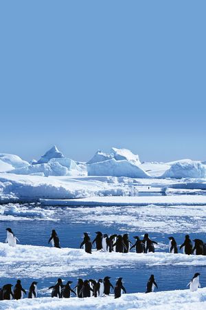 冰雪印花华亿平台图片